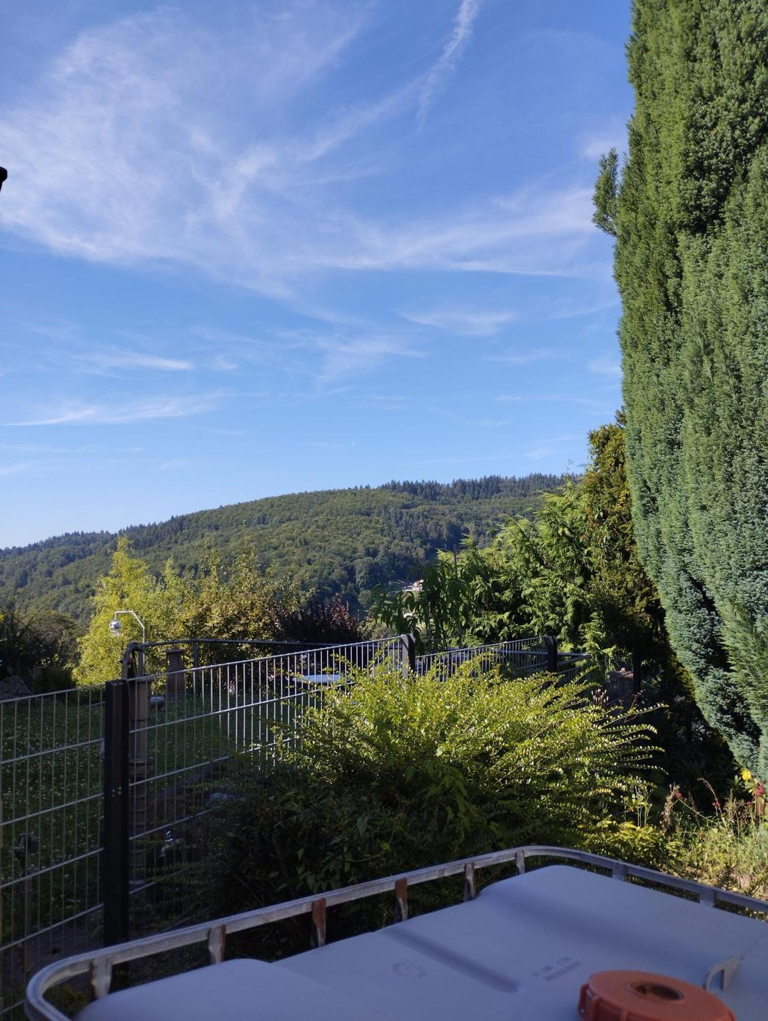 Das Tor Zum Odenwald Gorxheimertal Экстерьер фото