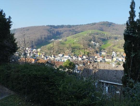 Das Tor Zum Odenwald Gorxheimertal Экстерьер фото